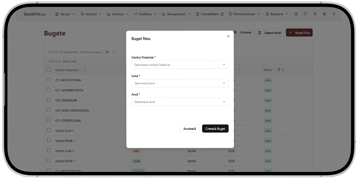 quickfin.erp - formular buget nou